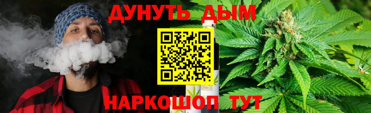 Каннабис семена Новокубанск